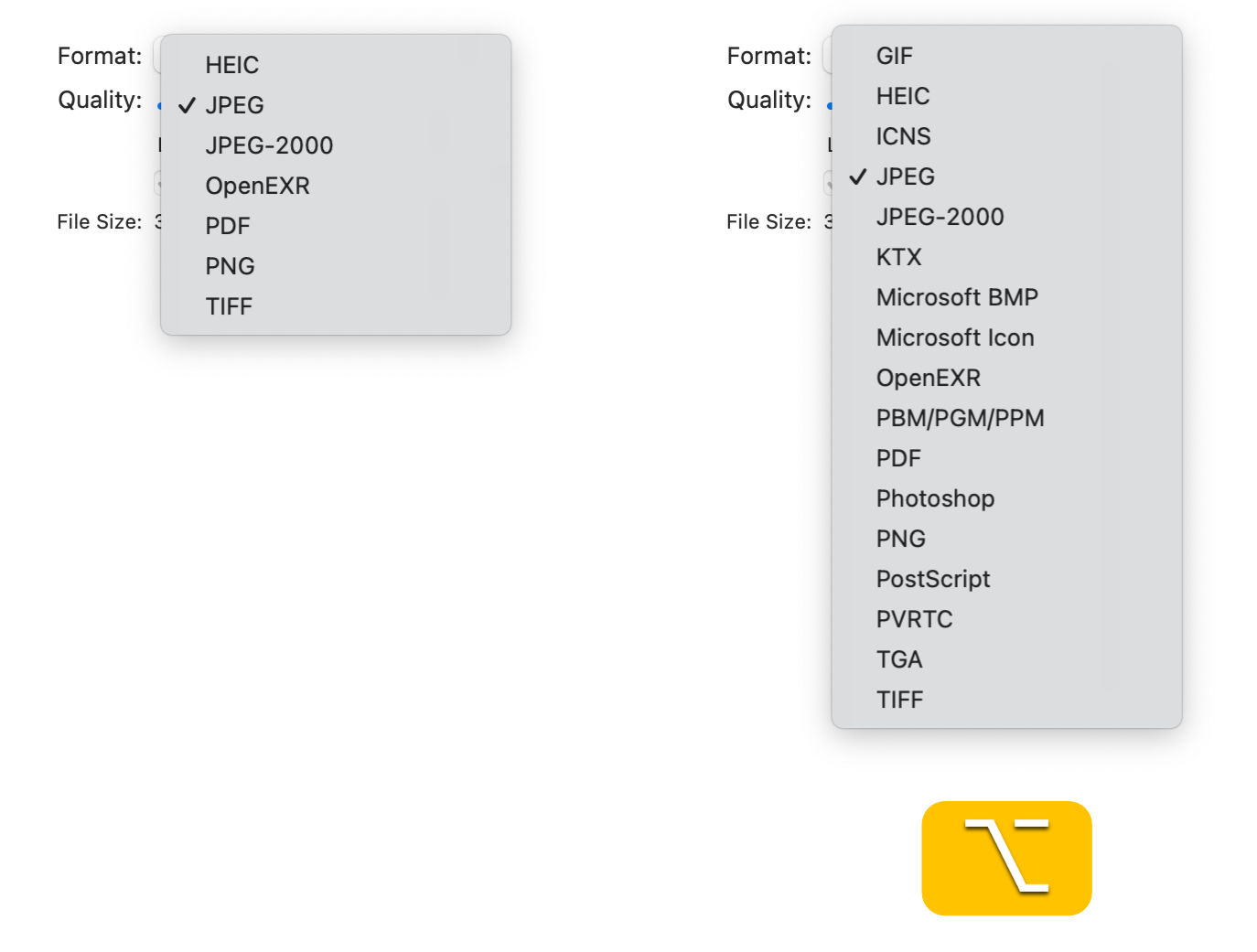 File formats while holding the Option key