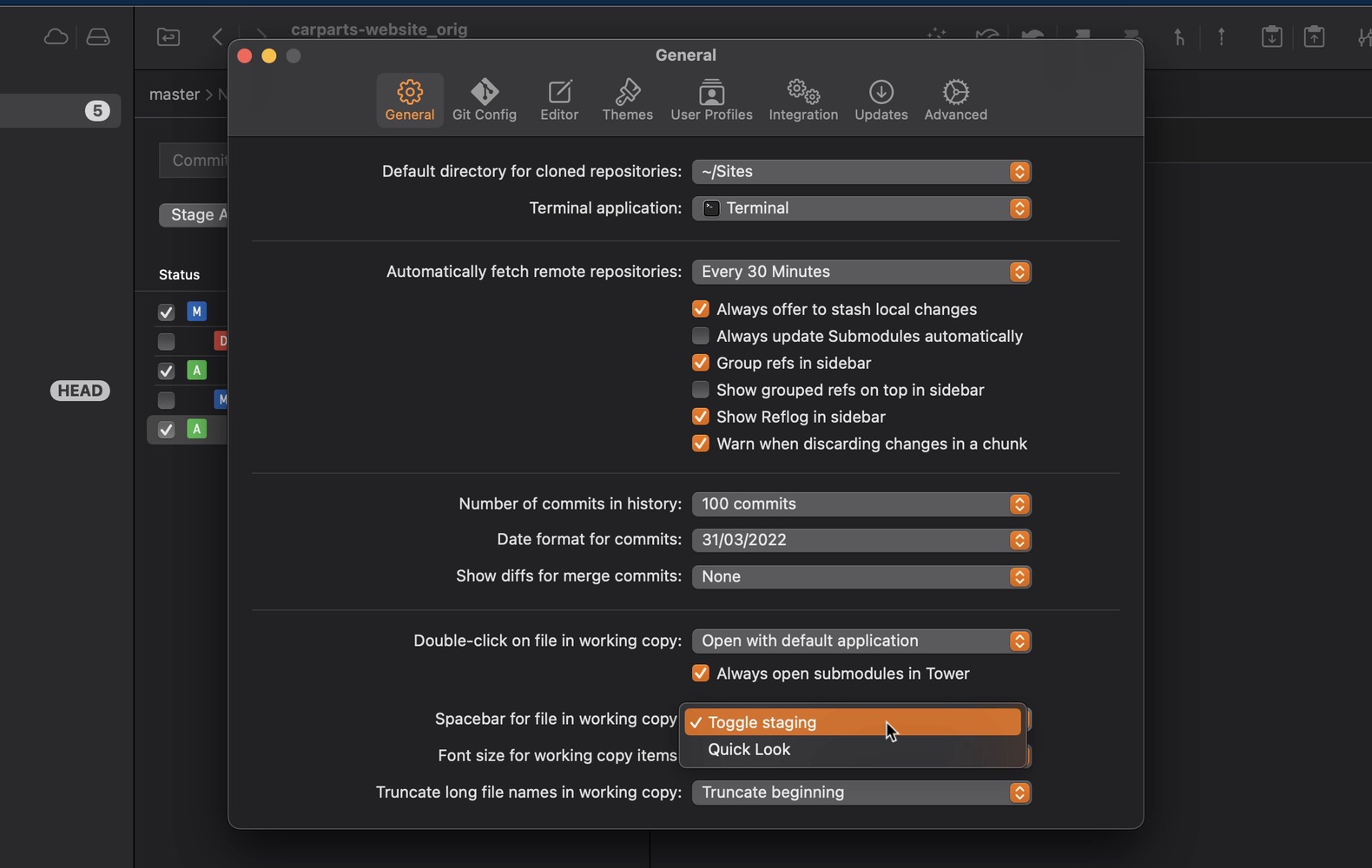 Spacebar for file in working copy option