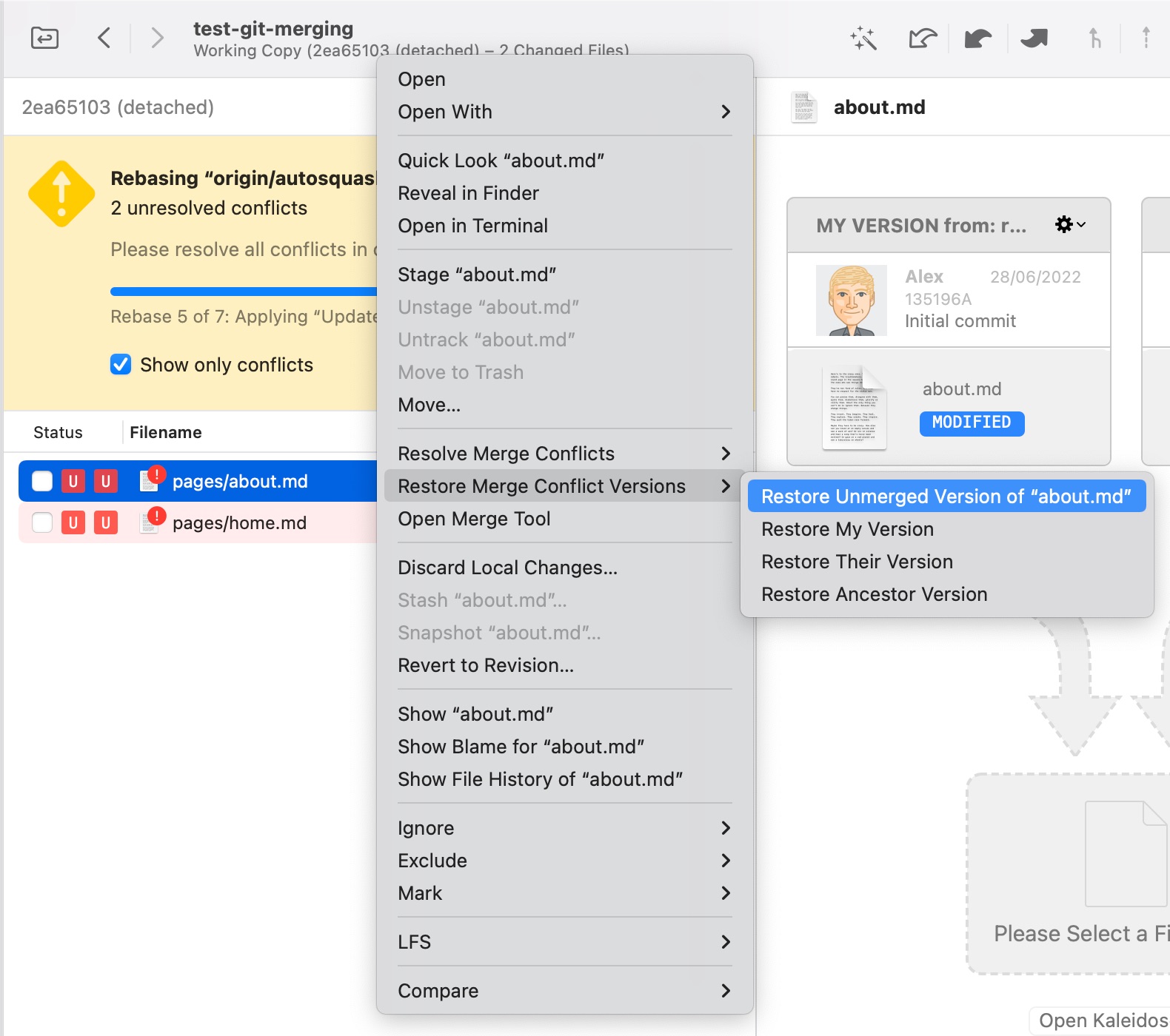 Restore the Unmerged Version of a File